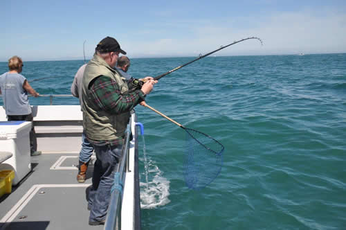 Out The Blue - Boatfishing Charters Guernsey