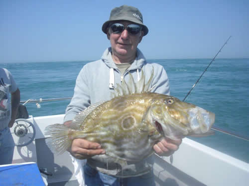 Out The Blue - Boatfishing Charters Guernsey