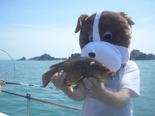 Out The Blue - Boatfishing Charters Guernsey