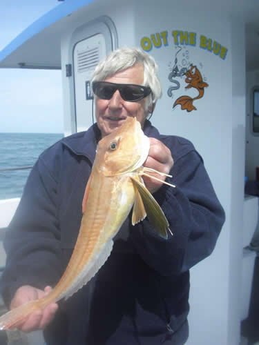 Out The Blue - Boatfishing Charters Guernsey