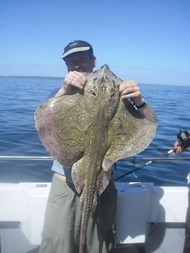 Out The Blue - Boatfishing Charters Guernsey