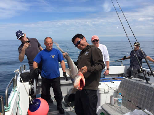 Out The Blue - Boatfishing Charters Guernsey