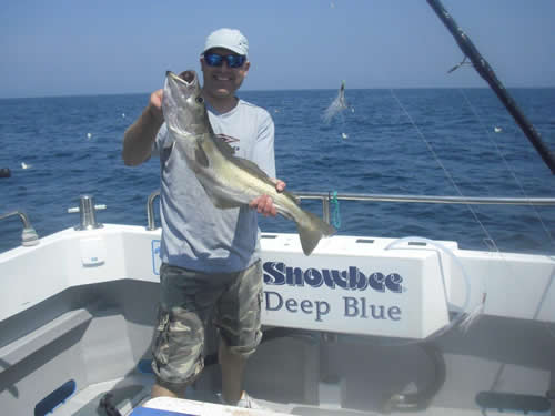 Out The Blue - Boatfishing Charters Guernsey