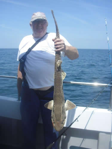 Out The Blue - Boatfishing Charters Guernsey