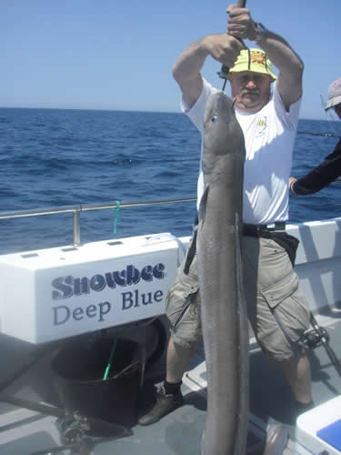 Out The Blue - Boatfishing Charters Guernsey