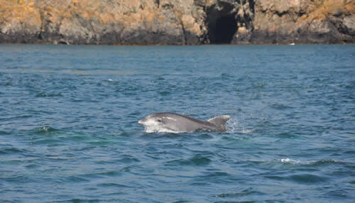 Out The Blue - Boatfishing Charters Guernsey