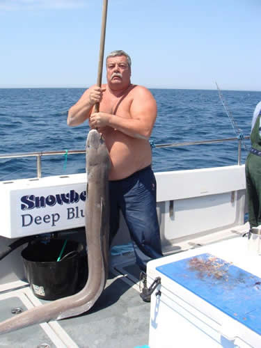 Out The Blue - Boatfishing Charters Guernsey