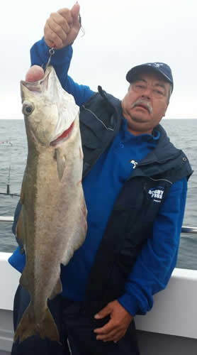 Out The Blue - Boatfishing Charters Guernsey