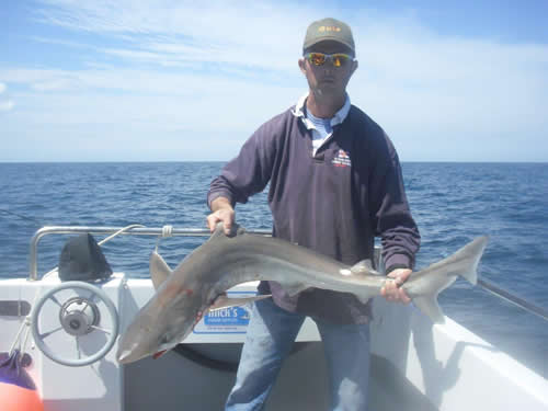 Out The Blue - Boatfishing Charters Guernsey