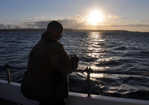 Out The Blue - Boatfishing Charters Guernsey