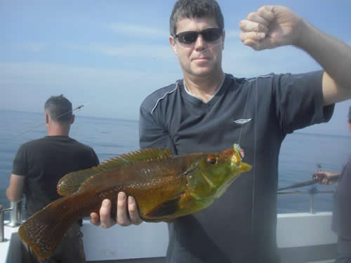 Out The Blue - Boatfishing Charters Guernsey