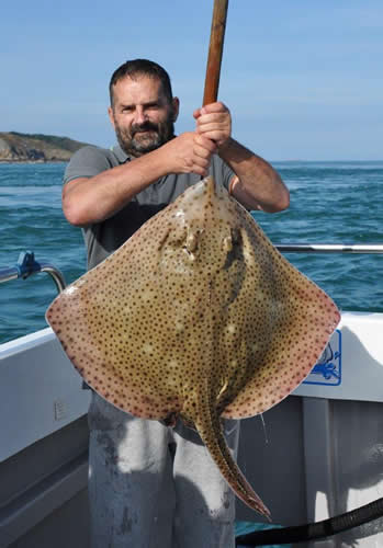 Out The Blue - Boatfishing Charters Guernsey