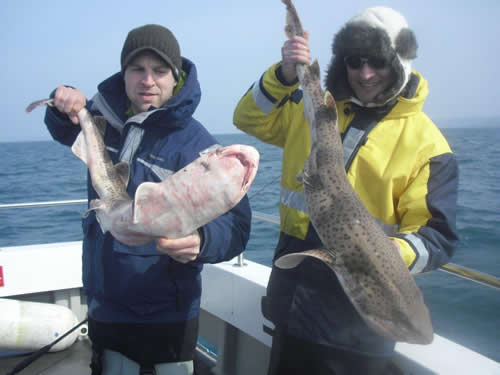 Out The Blue - Boatfishing Charters Guernsey