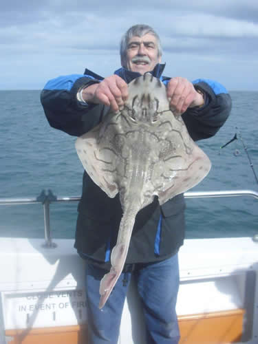 Out The Blue - Boatfishing Charters Guernsey