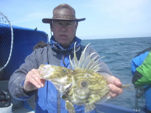 Out The Blue - Boatfishing Charters Guernsey