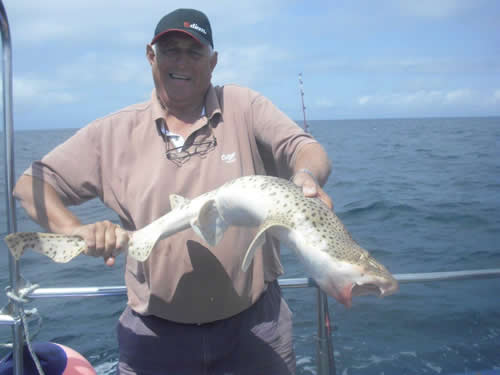 Out The Blue - Boatfishing Charters Guernsey