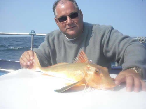 Out The Blue - Boatfishing Charters Guernsey