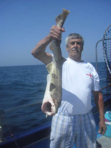 Out The Blue - Boatfishing Charters Guernsey