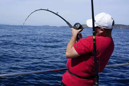 Out The Blue - Boatfishing Charters Guernsey