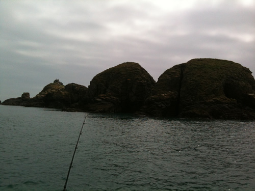 Out The Blue - Boatfishing Charters Guernsey