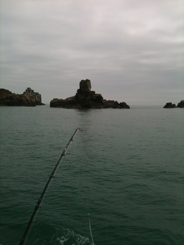 Out The Blue - Boatfishing Charters Guernsey