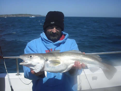 Out The Blue - Boatfishing Charters Guernsey