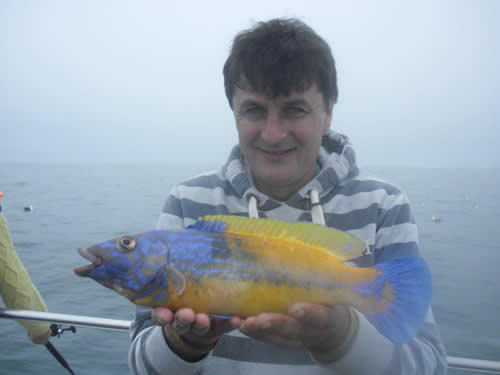 Out The Blue - Boatfishing Charters Guernsey