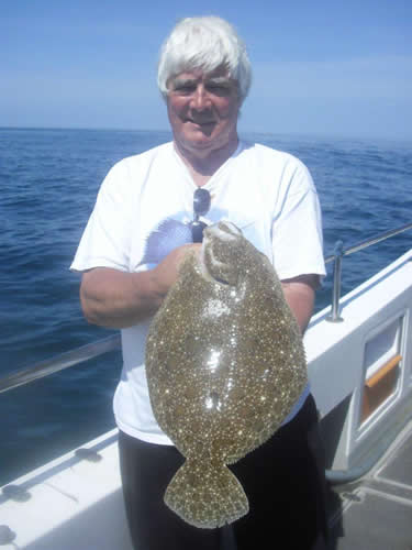 PB Brill