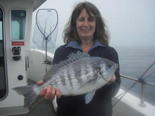 Out The Blue - Boatfishing Charters Guernsey