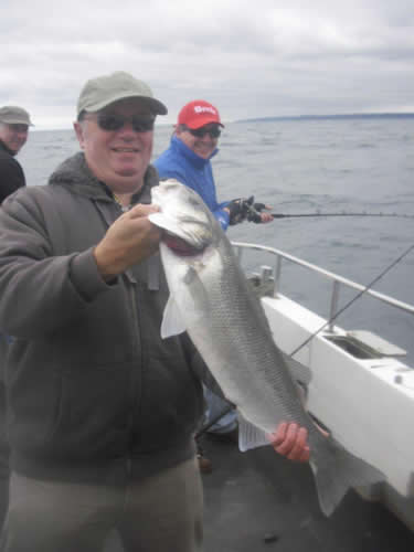 Out The Blue - Boatfishing Charters Guernsey