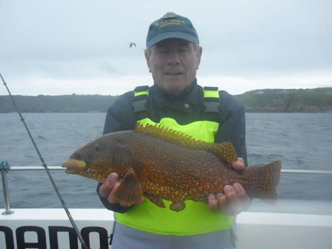 Out The Blue - Boatfishing Charters Guernsey