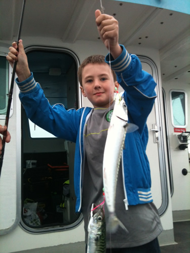 Out The Blue - Boatfishing Charters Guernsey