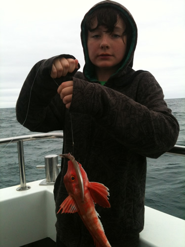 Out The Blue - Boatfishing Charters Guernsey