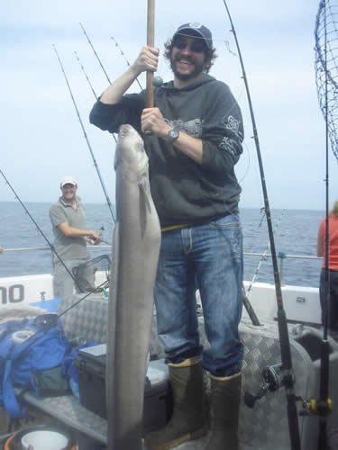 Out The Blue - Boatfishing Charters Guernsey