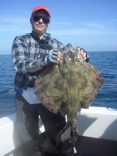 Out The Blue - Boatfishing Charters Guernsey