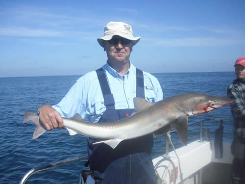 Out The Blue - Boatfishing Charters Guernsey