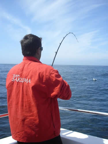 Out The Blue - Boatfishing Charters Guernsey