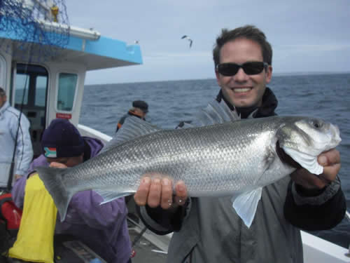 Out The Blue - Boatfishing Charters Guernsey