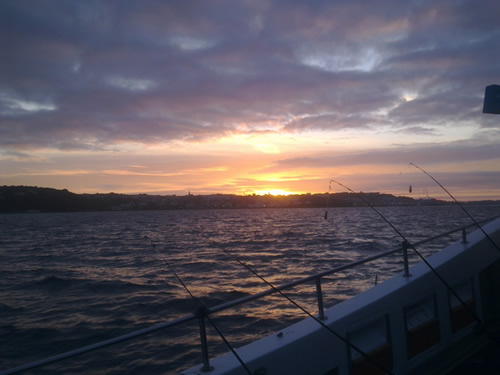 Out The Blue - Boatfishing Charters Guernsey