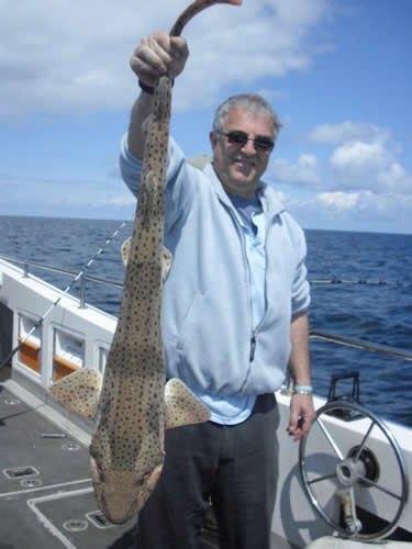 Out The Blue - Boatfishing Charters Guernsey