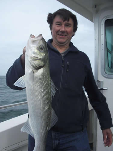 Out The Blue - Boatfishing Charters Guernsey