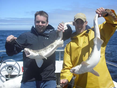 Out The Blue - Boatfishing Charters Guernsey