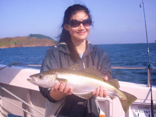 Out The Blue - Boatfishing Charters Guernsey