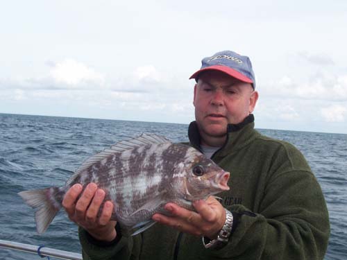 Out The Blue - Boatfishing Charters Guernsey