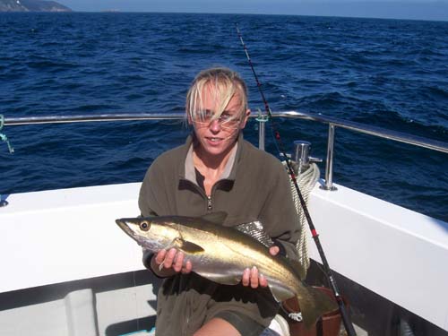 Out The Blue - Boatfishing Charters Guernsey