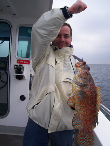 Out The Blue - Boatfishing Charters Guernsey