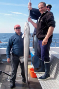 Out The Blue - Boatfishing Charters Guernsey