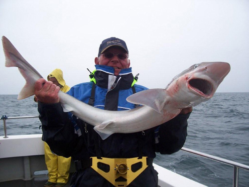 Out The Blue - Boatfishing Charters Guernsey