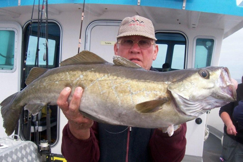 Out The Blue - Boatfishing Charters Guernsey