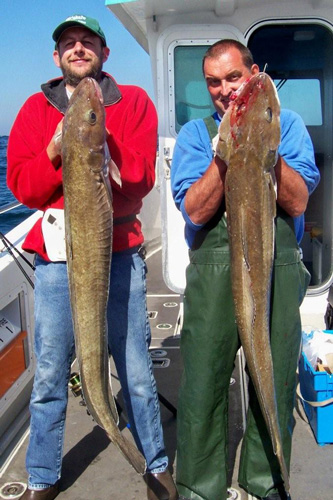 Out The Blue - Boatfishing Charters Guernsey